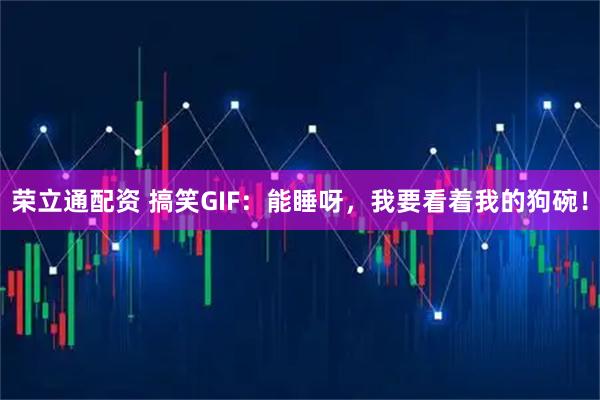 荣立通配资 搞笑GIF：能睡呀，我要看着我的狗碗！