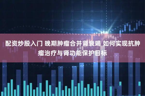 配资炒股入门 晚期肿瘤合并肾衰竭 如何实现抗肿瘤治疗与肾功能保护目标
